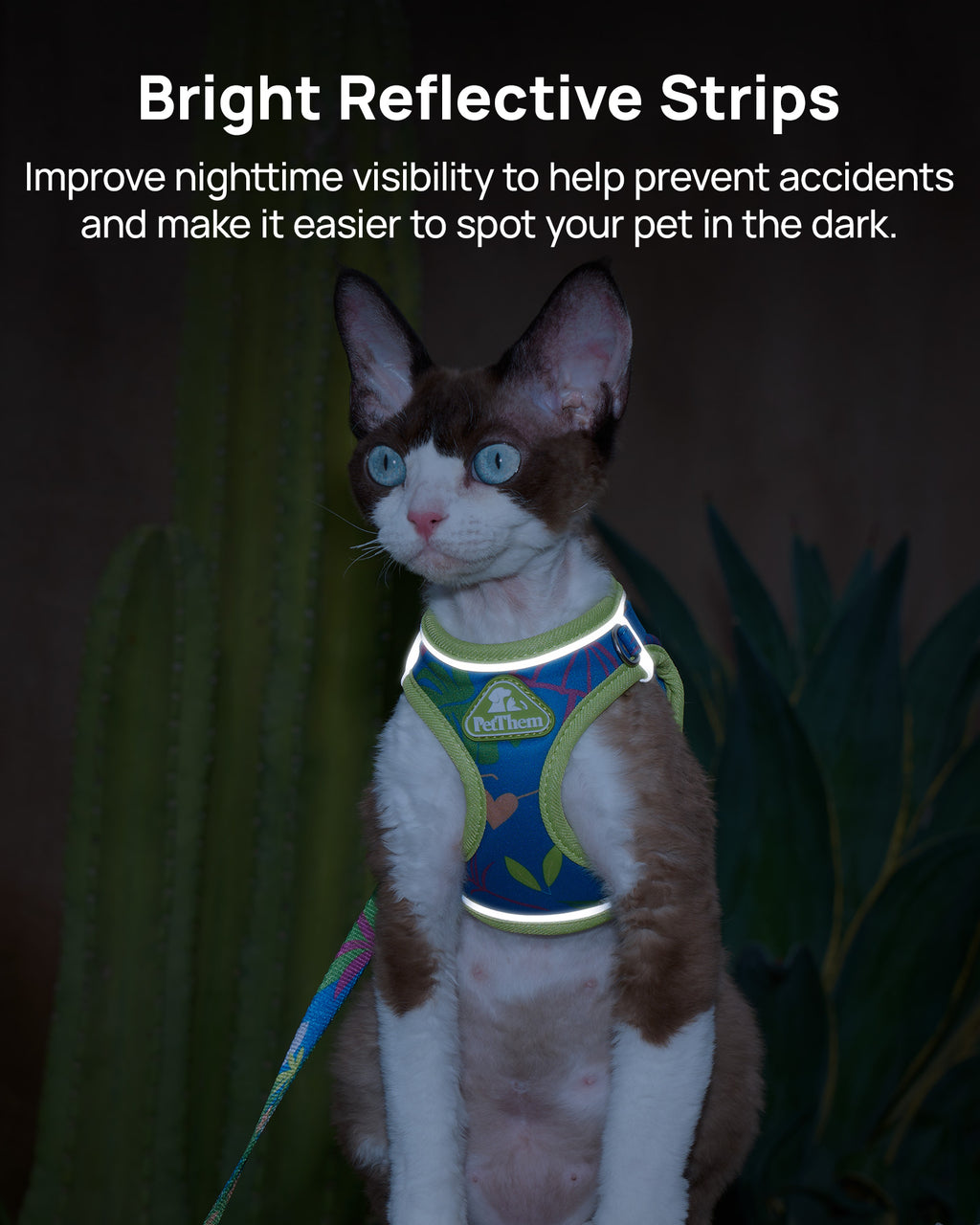 PetThem Cat Harness and Leash Set - Step-in Escape Proof Adjustable Cat Harness, Reflective Harness for Walking, Travel, Camping
