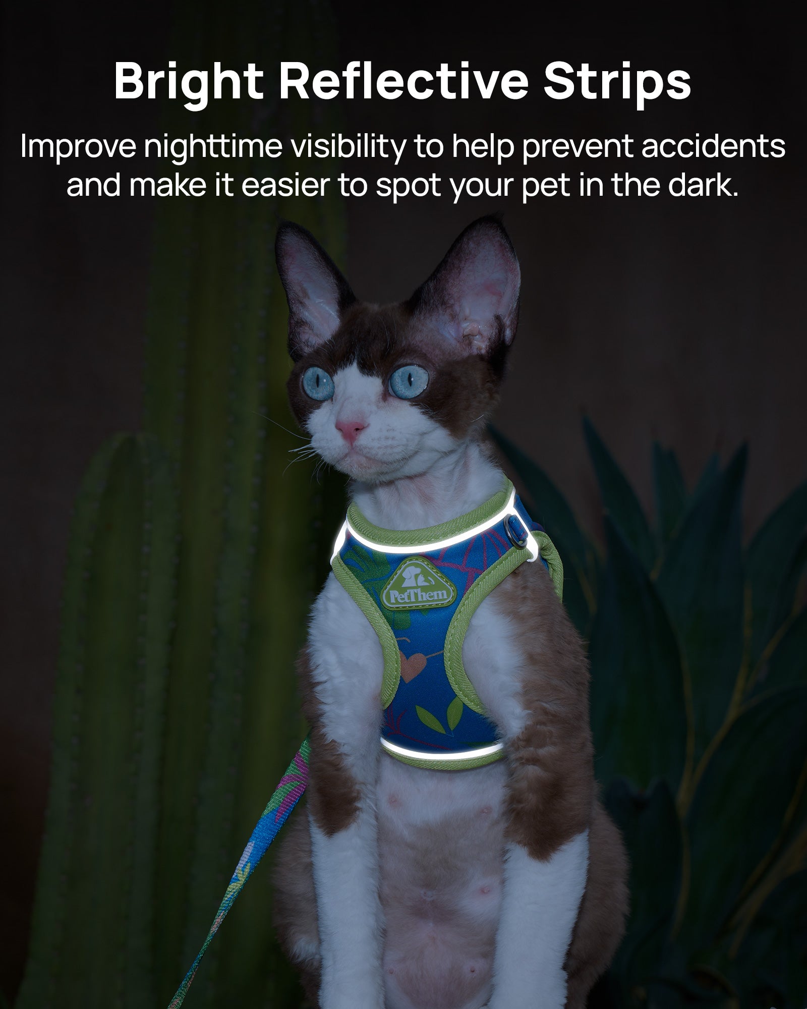 PetThem Cat Harness and Leash Set - Step-in Escape Proof Adjustable Cat Harness, Reflective Harness for Walking, Travel, Camping