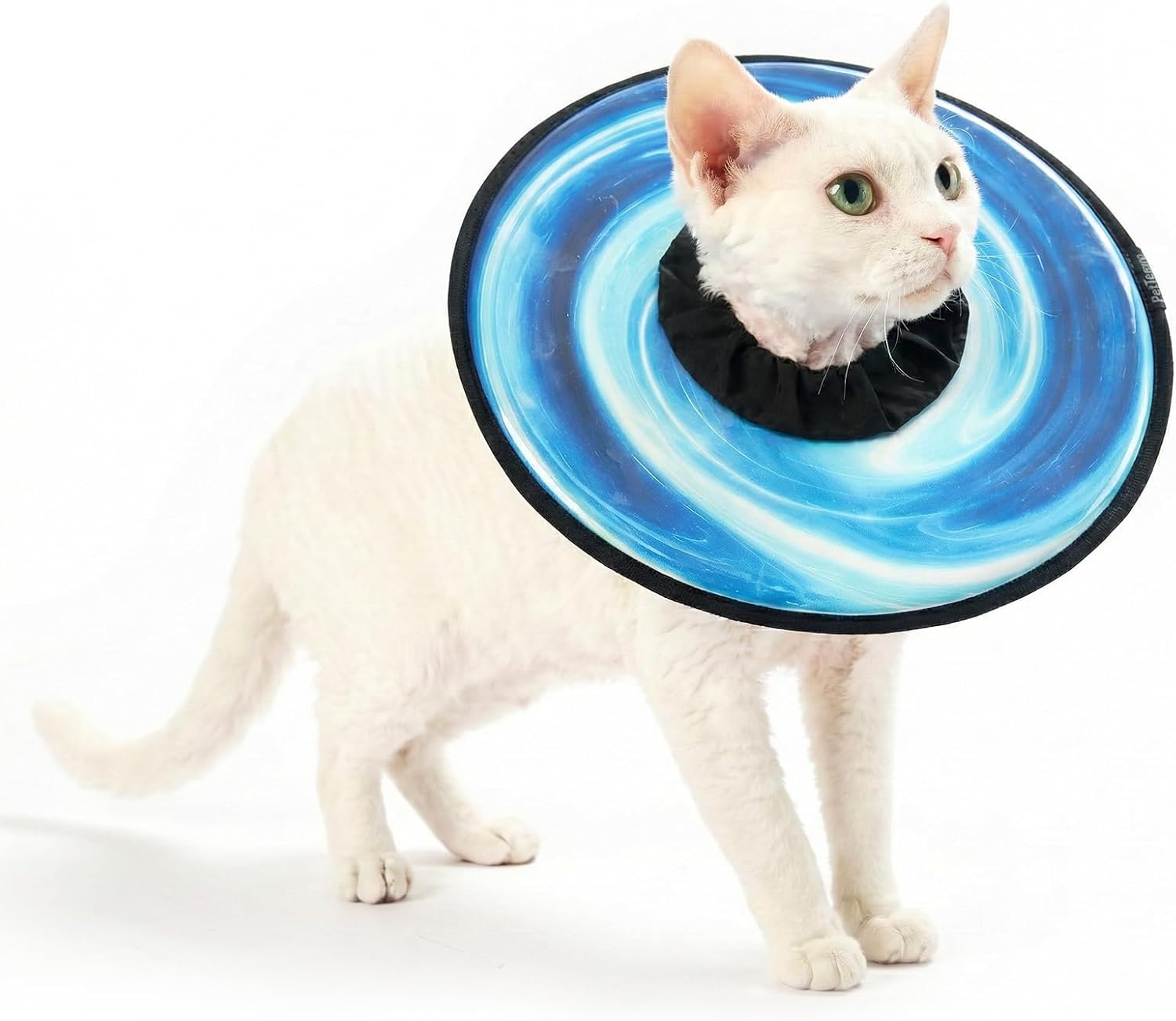 PetThem Soft Cat Cone Collar, Adjustable Cat Recovery Collar, Elizabethan Collar for Cats and Small Dogs