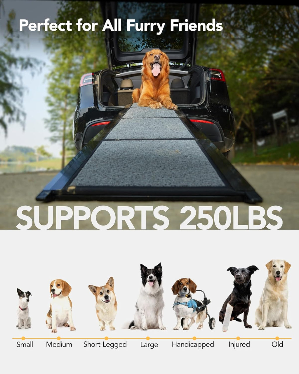 PetThem Dog Ramp for Car, Portable Dog Ramps for Large Dogs with Non-Slip Rug Surface Dog Car Ramp for SUV Car & Truck