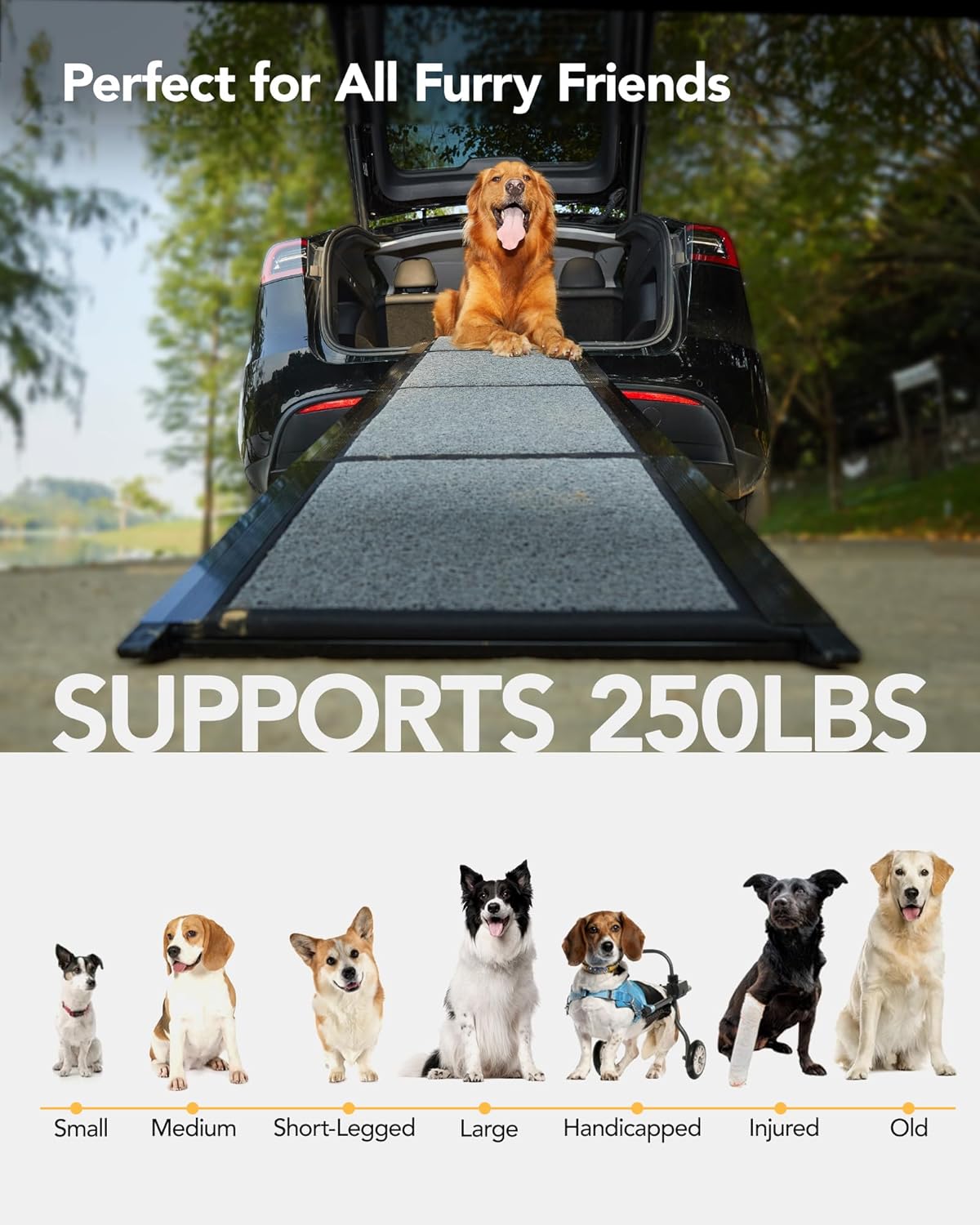 PetThem Dog Ramp for Car, Portable Dog Ramps for Large Dogs with Non-Slip Rug Surface Dog Car Ramp for SUV Car & Truck
