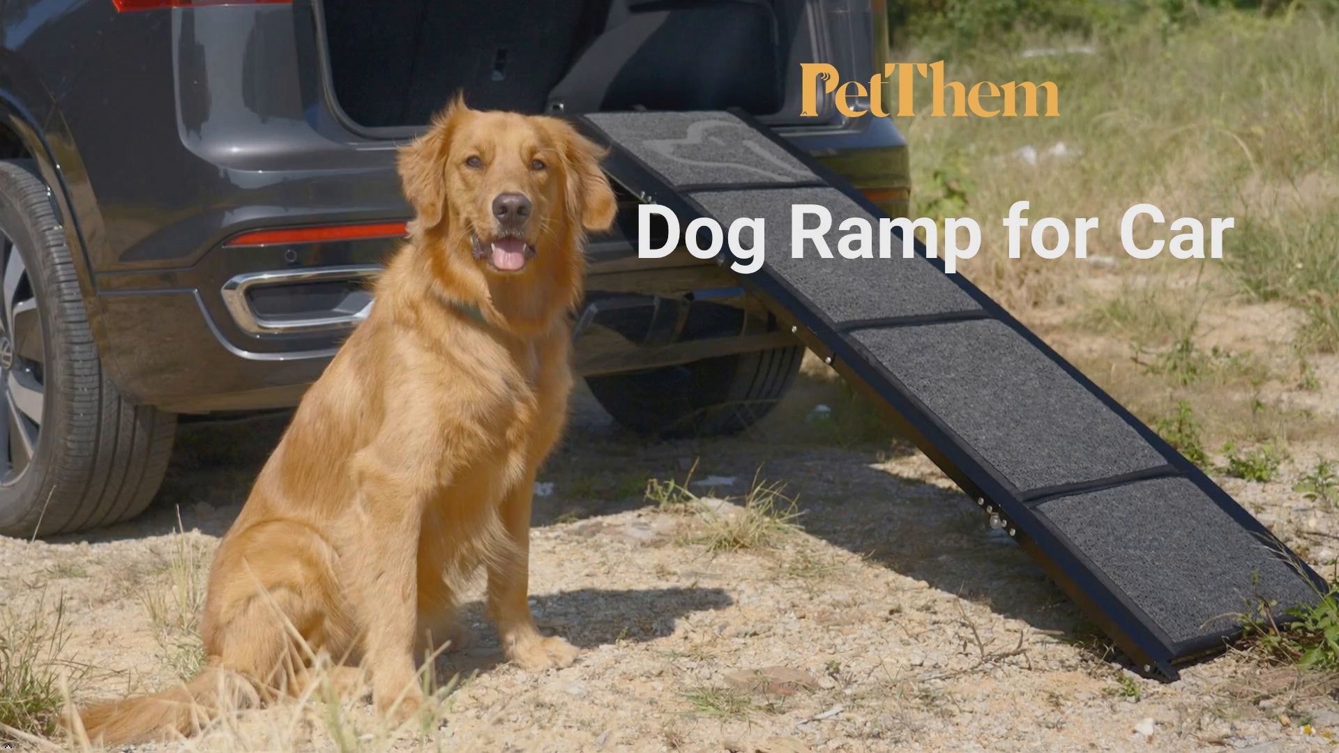 PetThem Dog Ramp for Car, Portable Dog Ramps for Large Dogs with Non-Slip Rug Surface Dog Car Ramp for SUV Car & Truck