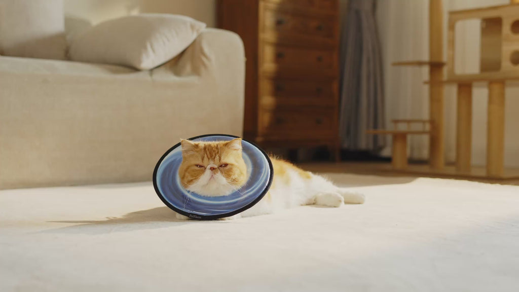 PetThem Soft Cat Cone Collar, Adjustable Cat Recovery Collar, Elizabethan Collar for Cats and Small Dogs